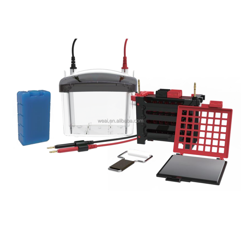 Gel Electrophoresis Device Manufacturer - Horizontal Nucleic Acid DNA RNA