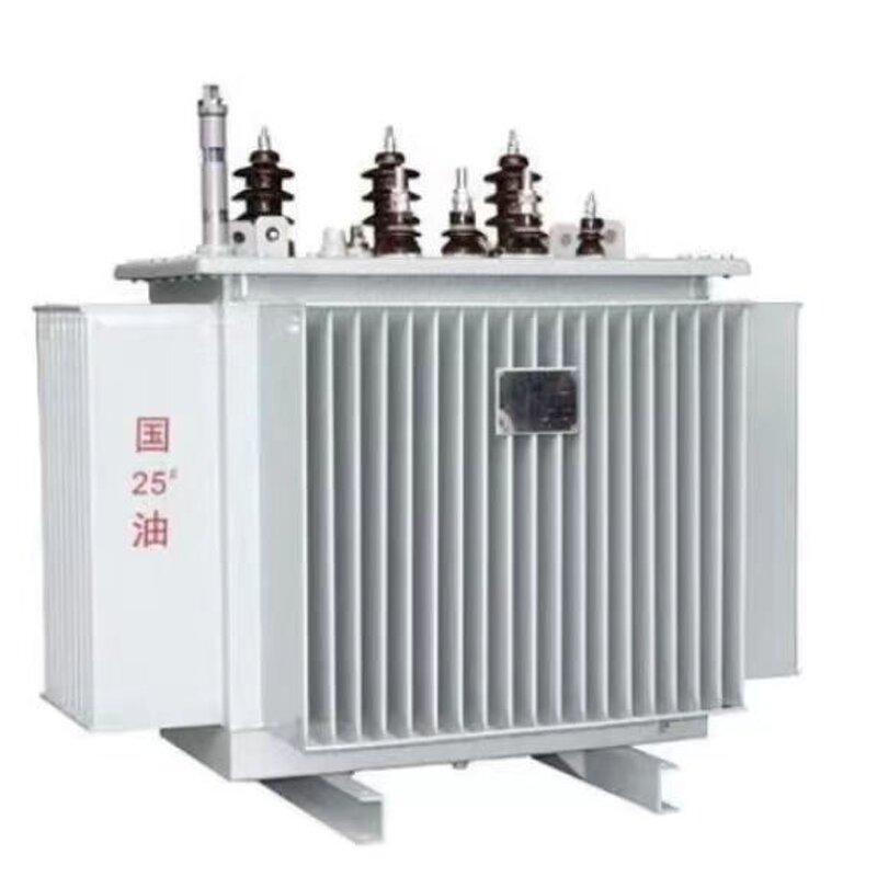 Distribution Transformer Manufacturer - High Quality Oil Immersed Safety Protect Electricity Transformer
