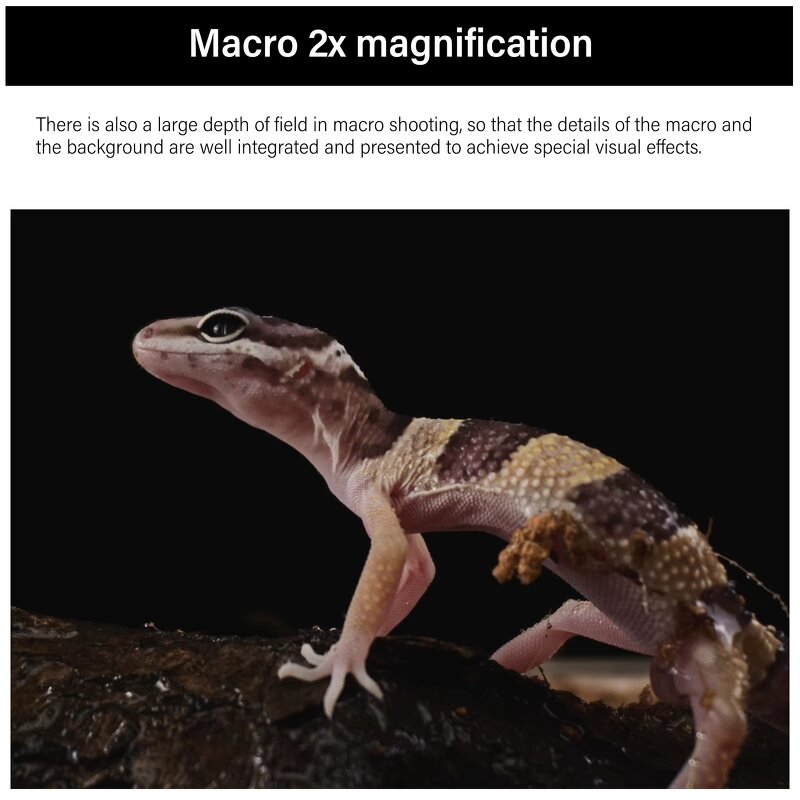 AstrHori 28mm F13 Macro 2X - Full Frame Specialty 90 Degree Direct Lens with Ring Light