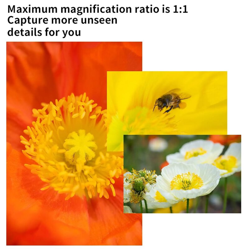 7artisans 60mm F2.8 Mark II - APS-C Macro Lens for Sony E Nikon Z Fuji XF