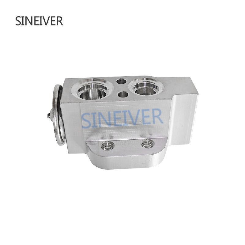 Air Conditioning Expansion Valve Manufacturer - For VW Beetle CC Golf Tiguan Touan Octavia A5 B6 1K0820679 1K0 820 679