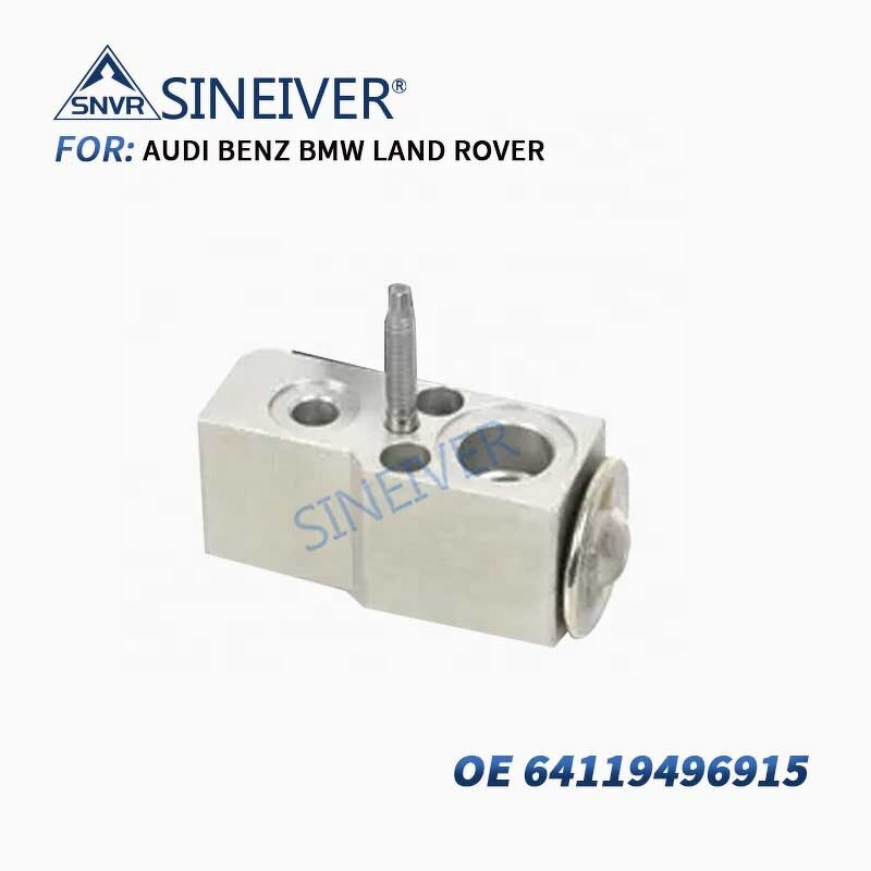 Air Conditioning Expansion Valve Manufacturer - For BMW 5 6 7 8 Series X5 X6 X7 64119361710 64119496915
