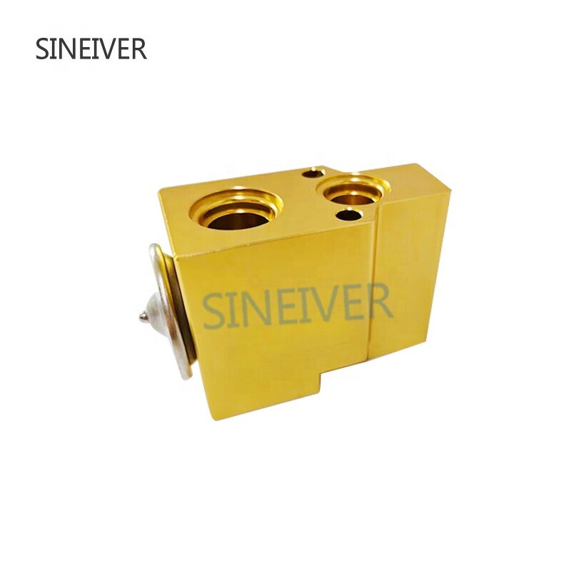 Air Conditioner A/C Expansion Valve Manufacturer - For VW Beetle Golf Bora 1H0820679 6N0820679C