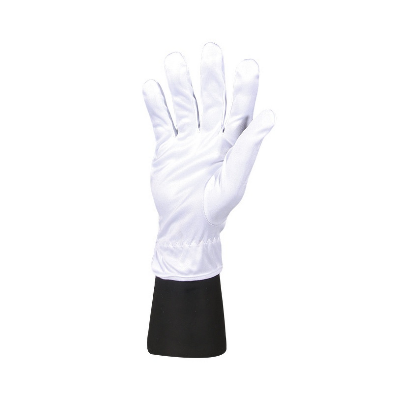 Cleanroom Gloves - Ultra-Fine Fiber Dust-Free for Semiconductor Laboratory