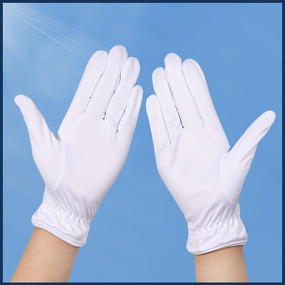 Cleanroom Gloves - Ultra-Fine Fiber Dust-Free for Semiconductor Laboratory