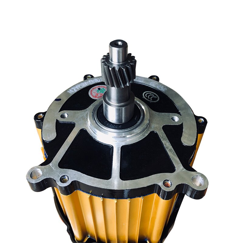 BLDC Mid-Mounting DC Brushless Motor Manufacturer - 1500W 60V/72V Permanent Magnet for Construction Electric Tricycle Boat-24V 48V Options