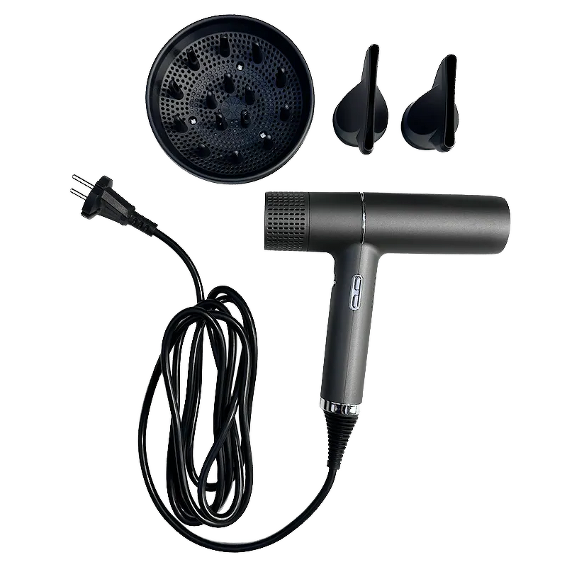 Hair Dryer Manufacturer - High Powerful Professional Salon & Hotel Use Negative Ionic 1600W HD08 DYS Leafless HD07