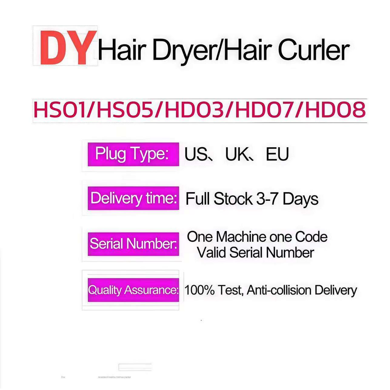 Hair Dryer Manufacturer - High Powerful Professional Salon & Hotel Use Negative Ionic 1600W HD08 DYS Leafless HD07