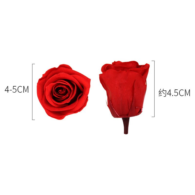 Preserved Real Roses Manufacturer - 8 Heads Decorative Everlasting Flowers Handmade DIY for Valentine's Day & Mother's Day Gift