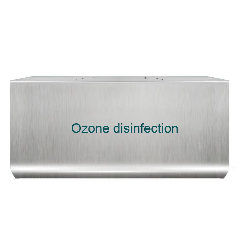 Ozone Generator Machine Manufacturer - Wall-Hanging 3G5G10G Commercial Air Purifier for Sterilization Disinfection Food Factory Warehouse RV