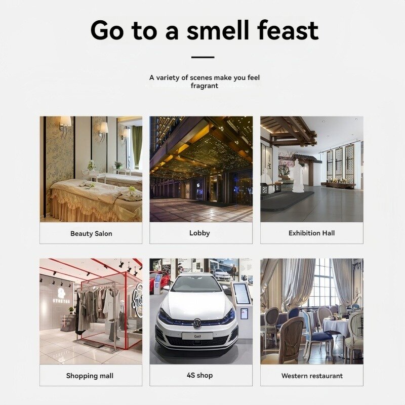 Essential Oil Diffuser Manufacturer - Luxury 100ml with Reed Diffuser Scent Glass Bottle Aroma Sticks Wholesale for Hotel Amenities Home Use