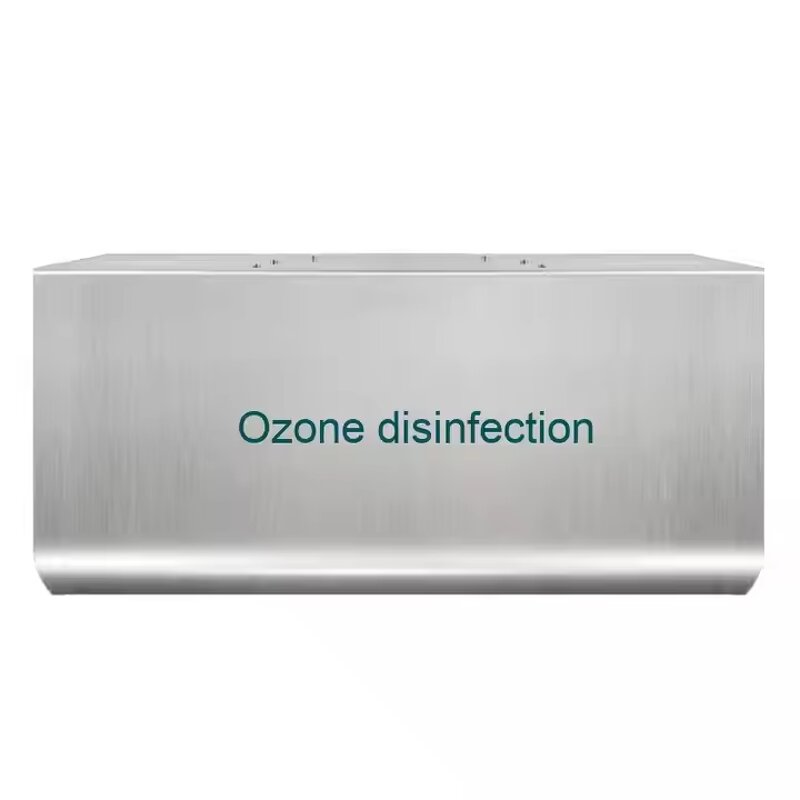 Ozone Generator Manufacturer - 3G 5G 10G Wall Mounted Air Purifier for Commercial Warehouse RV Food Factory Sterilization Disinfection Use