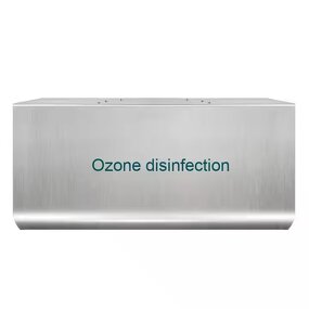 Ozone Generator Manufacturer - Warehouse RV Wall Mounted 3G5G10G Commercial Air Purifier Sterilization and Disinfection Food Factory