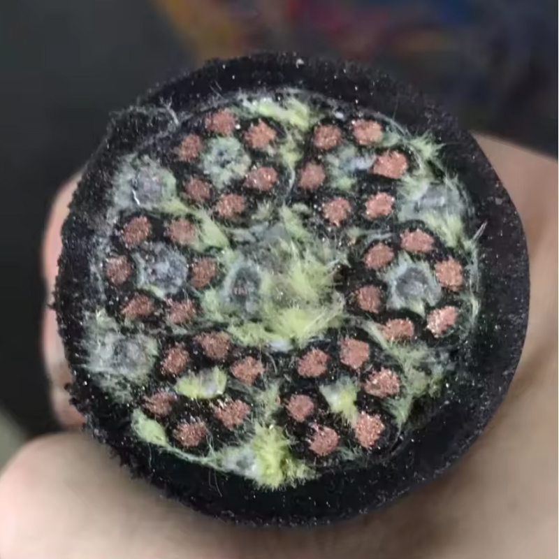 Container Crane Control Cable Manufacturer - 300/500V YSLTOE YSLTOE-J 36G2.5 Spreader Cable Spreaderflex YSLTOE Basket Cable