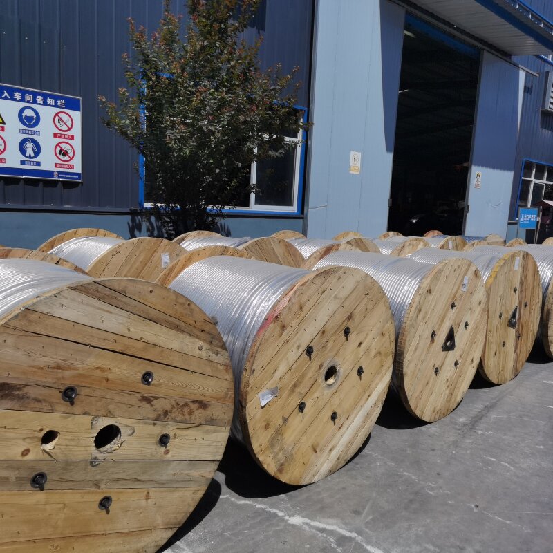 AAAC Aluminum Bare Conductor Manufacturer - 70-1000mm2 336.4-823 MCM Horse Dahlia Aster Bluejay Electrical Wire Power Cable