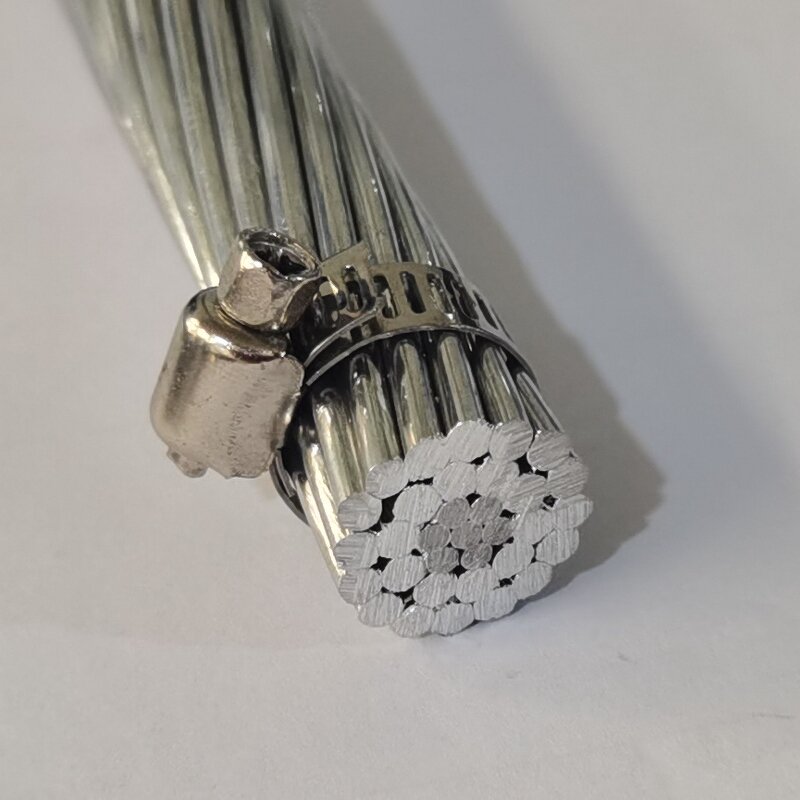 Aluminum Cable Manufacturer - Factory Direct Sell 240mm2 Aaac Aac Tulip 336.4 Mcm