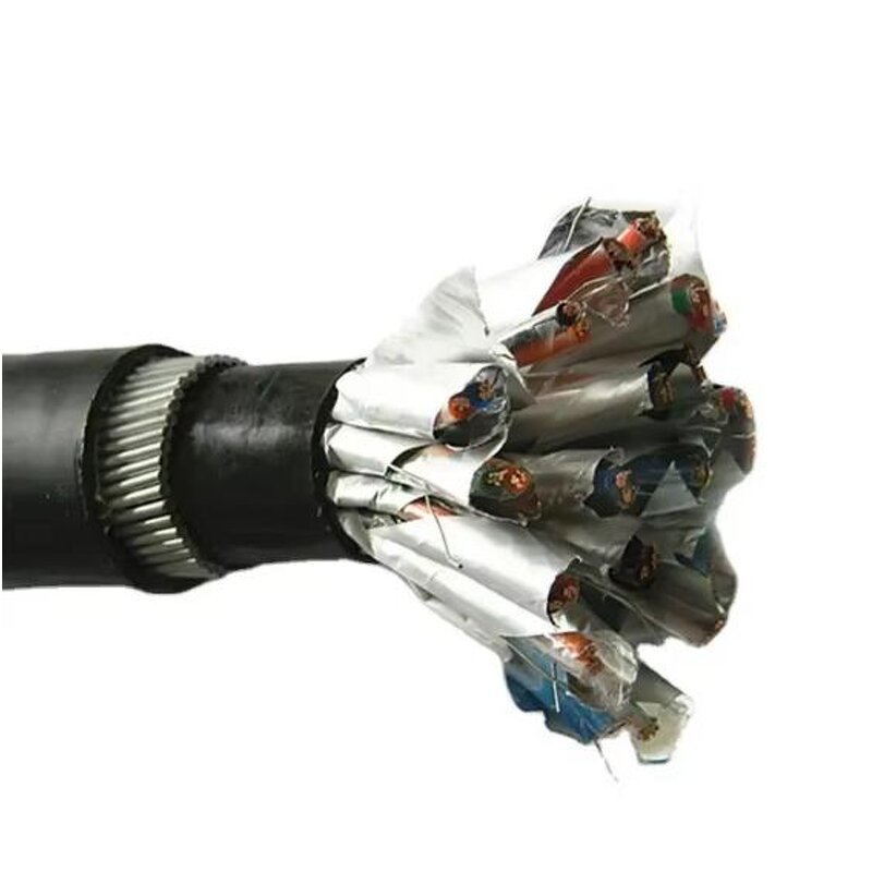 Instrument Cable Manufacturer - HUADONG 450/750V Stranded Copper Conductor 12 Pair 24 Core for Petrochemical Industry