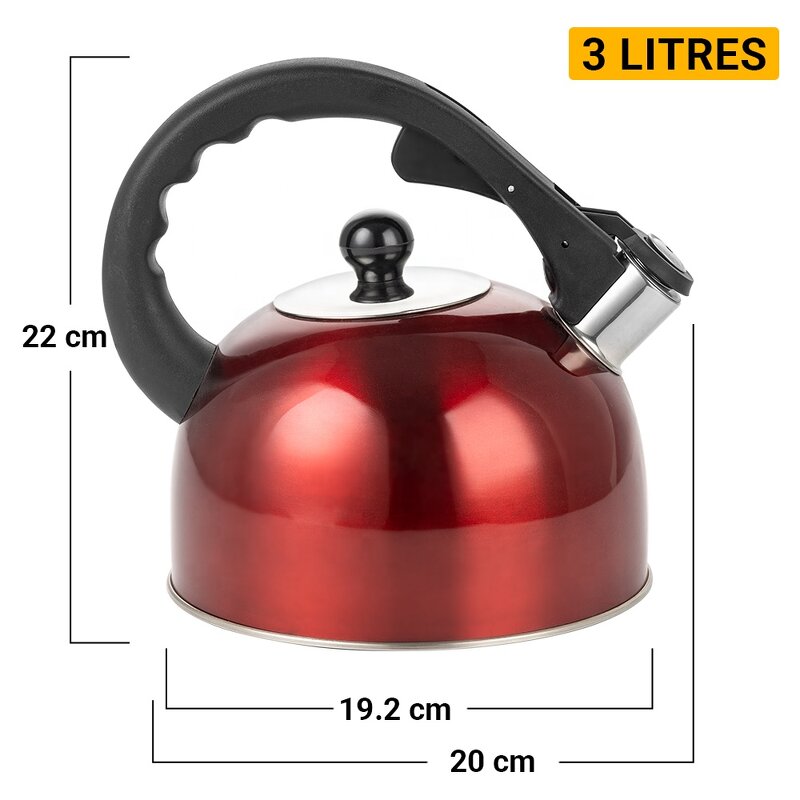 Tea Pot Manufacturer - High Quality Color Painting Hot Water Stainless Steel 3.0L Water Kettle Tea Kettle Whistling Kettle for Home
