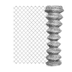 Wire Mesh Manufacturer - 1/2" Sae1008 Galvanized Hexagonal 3/4"