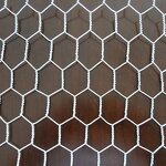 Steel Mesh