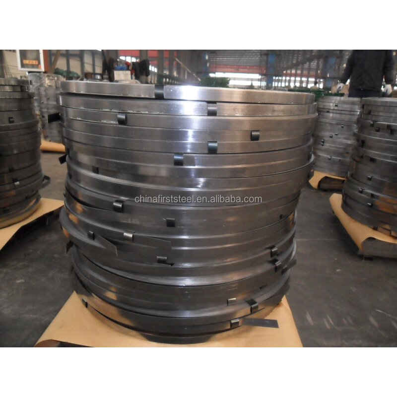 Galvanized Steel Strap Seals - Q195 Grade Clip Belt Buckles