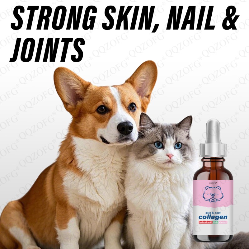 Collagen for Dogs Factory - Private Label Premium Skin Coat