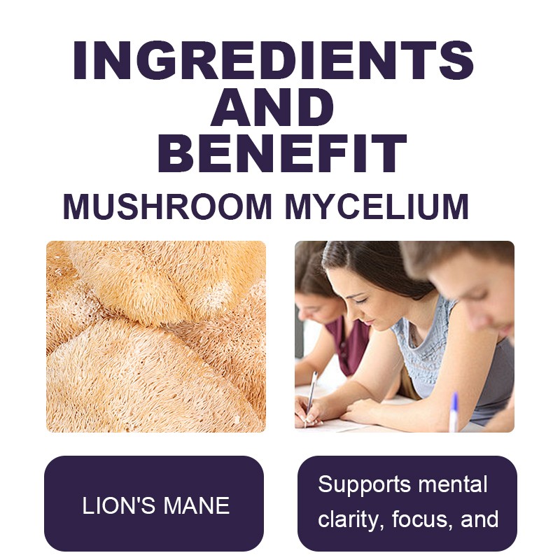 Lions Mane Drops Manufacturer - Hot Sale Mushroom Extract Brain