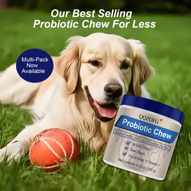 Probiotics for Dogs Supplier - Custom Gut Health Soft Chews