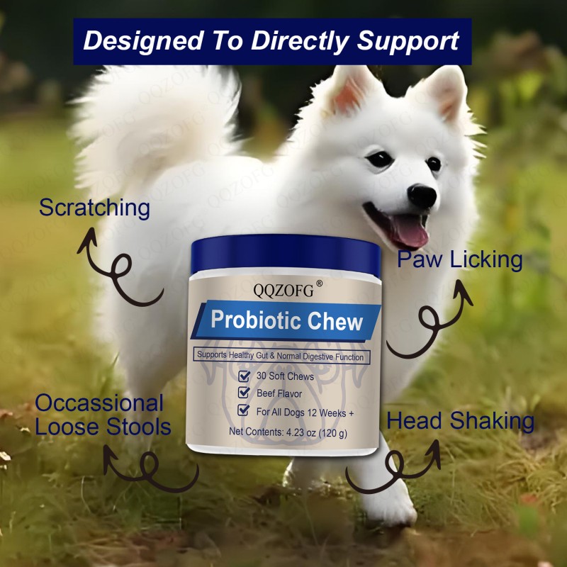 Probiotics for Dogs Supplier - Custom Gut Health Soft Chews