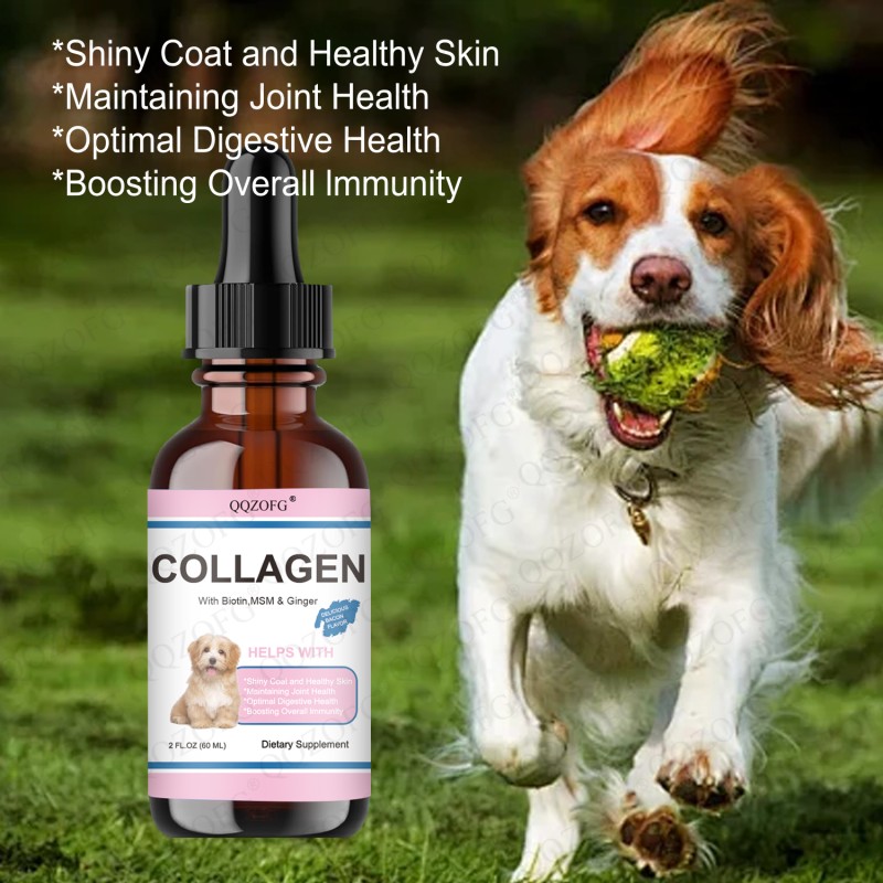 Collagen for Pets Factory - Hot Sales Skin Coat Itch Relief