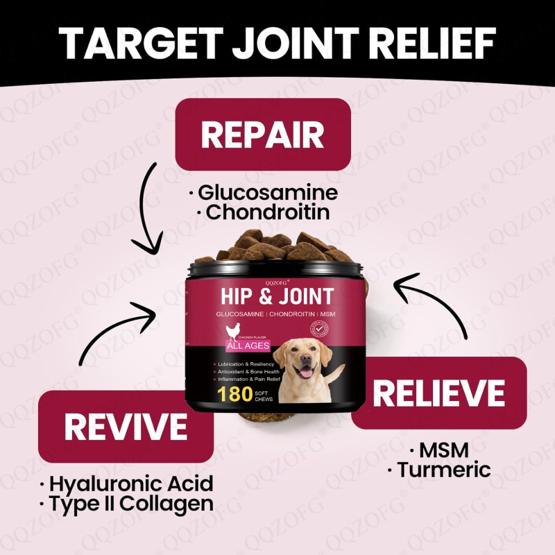 Dog Joint Supplement Manufacturer - Hot Selling Hip Bone Health