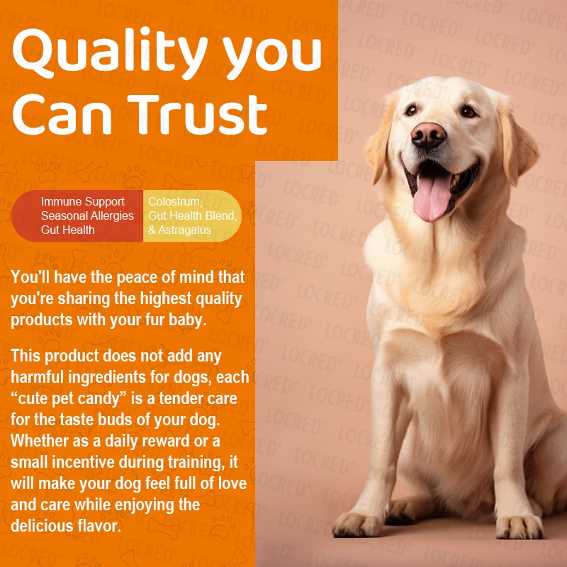 Probiotics for Pets Supplier - OEM Digestive Enzymes Allergy Help