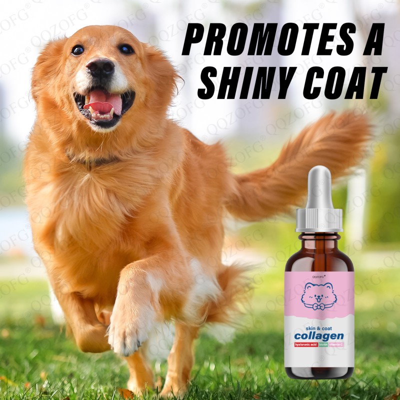 Collagen Liquid for Pets Factory - Hydrolyzed Skin Coat Joint