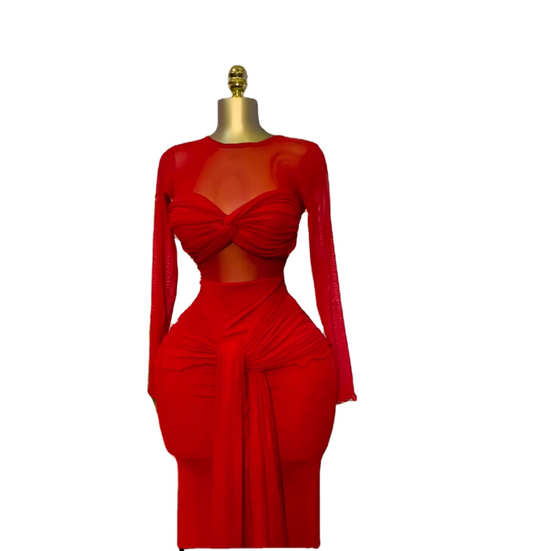 Women's Dress - Early Spring New Vintage Translucent Empire Waist Solid Color Long Sleeve Round Neck Bodycon Elegant