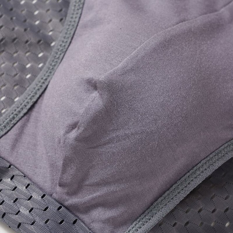 Men's Underwear - High Quality Quick-Drying Mesh Ice Silk Breathable Ultra-Thin Briefs