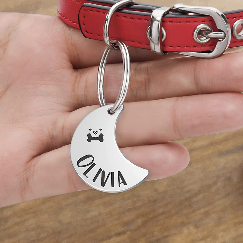 Dog Tag - Customizable Stainless Steel Anti-Loss Blank ID Card DIY Lettering Metal