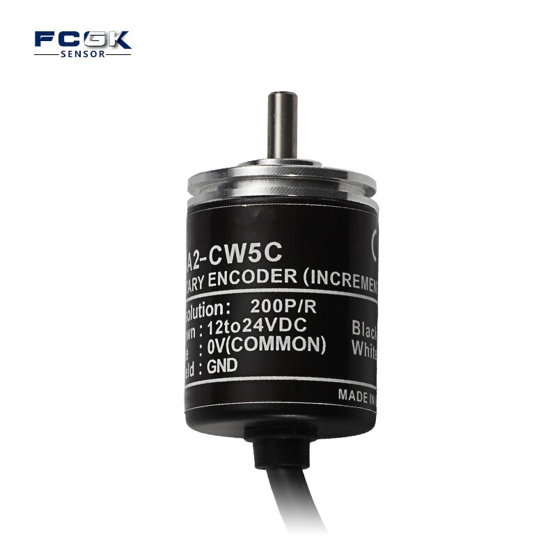 Z-15GQ-B High Capacity Panel Mount Micro Switch - 10A Plunger for Water Heater