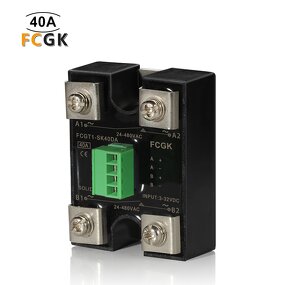 2 Pole Solid State Relay with Independent Switches - 40A 480V Multi Output DC-AC