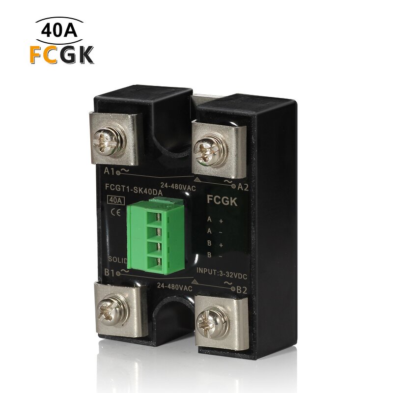 2 Pole Solid State Relay with Independent Switches - 40A 480V Multi Output DC-AC
