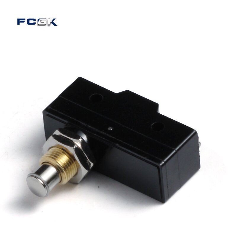 Z-15GQ-B High Capacity Panel Mount Micro Switch - 10A Plunger for Water Heater