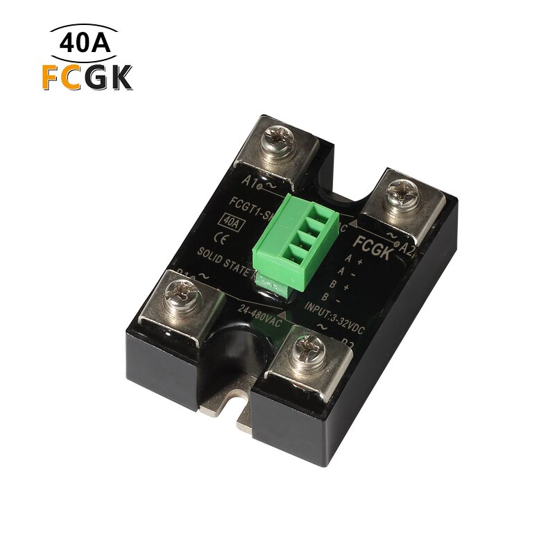 2 Pole Solid State Relay with Independent Switches - 40A 480V Multi Output DC-AC