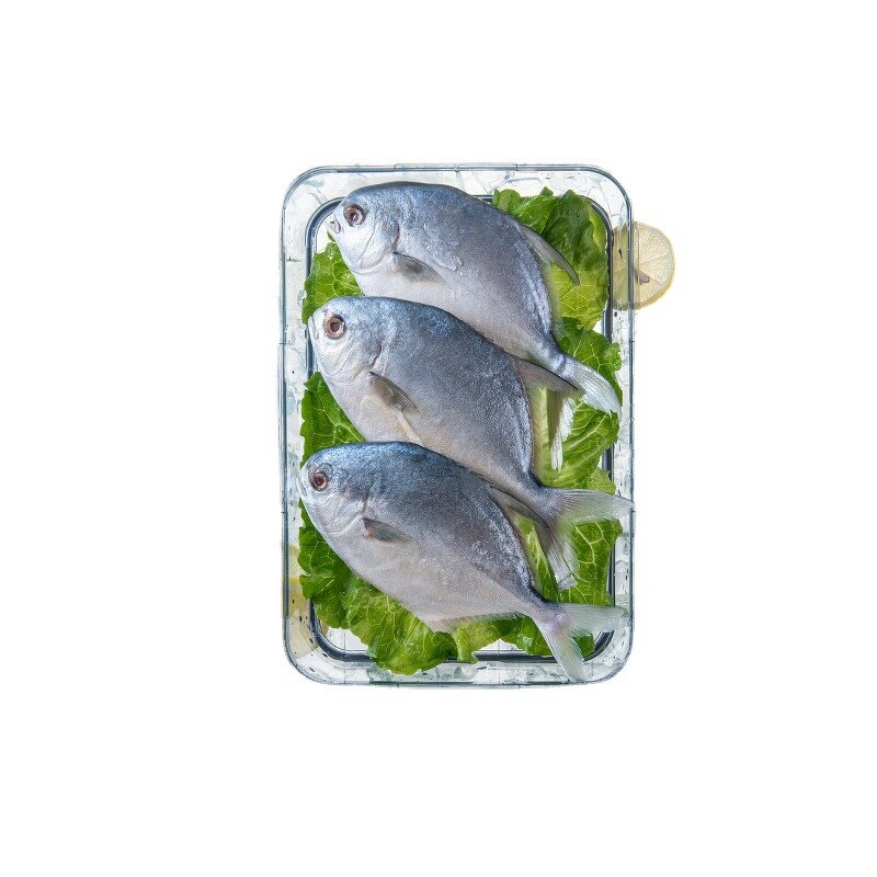 Storage Container - Multi Functional for Freshness Preservation PET Plastic Kitchen