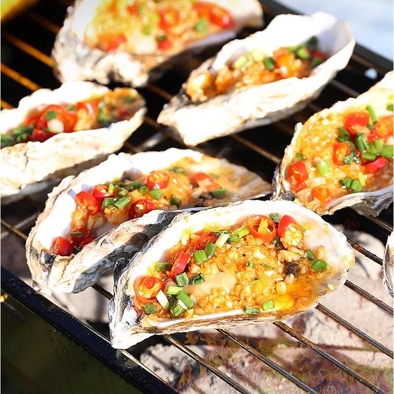 BBQ Grill - Iron Oven Folding Portable Outdoor Garden Camping Party Stainless Steel