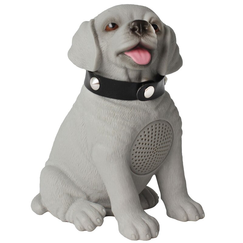 Radio Speaker Manufacturer - Portable with Stereo Woofer FM SW AM Radio Rechargeable Battery Torch BT MP3