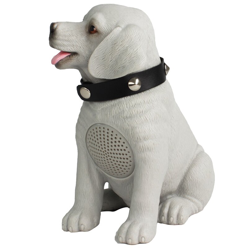 Radio Speaker Manufacturer - Portable with Stereo Woofer FM SW AM Radio Rechargeable Battery Torch BT MP3