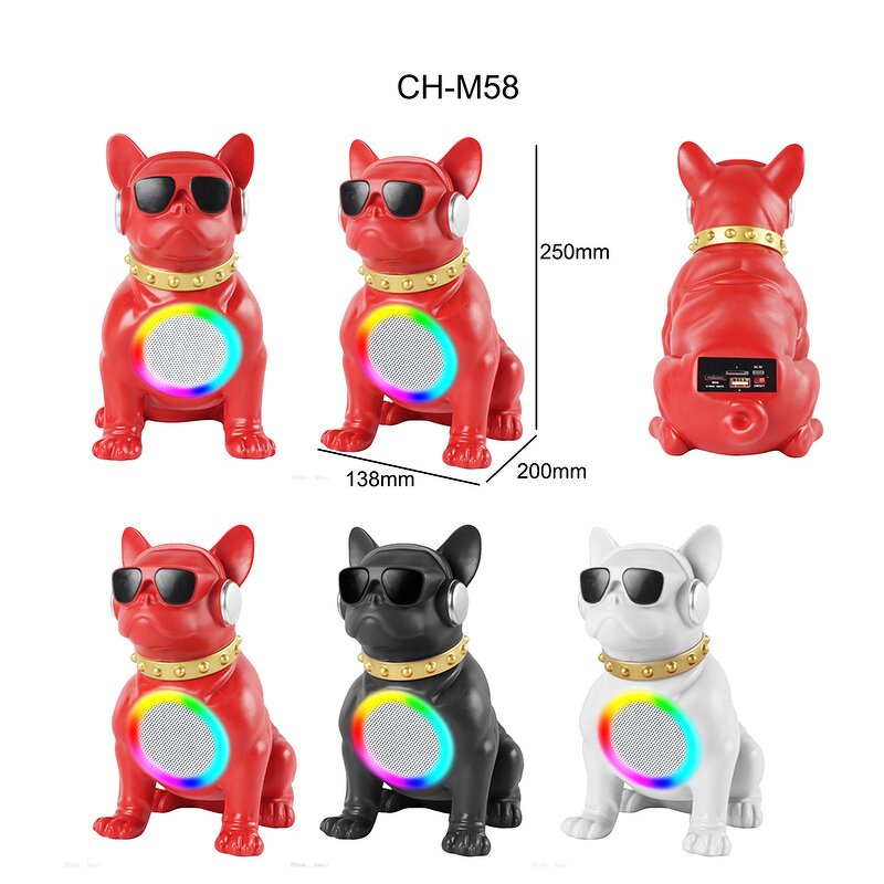 Bluetooth Speaker Manufacturer - Dogy Design Stereo BT with FM Radio TF USB RGB Flashlight