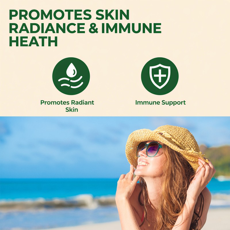 ODM/OEM Apple Cider Vinegar Capsules Slimming Promote Digestion Support Weight Management Weight Loss