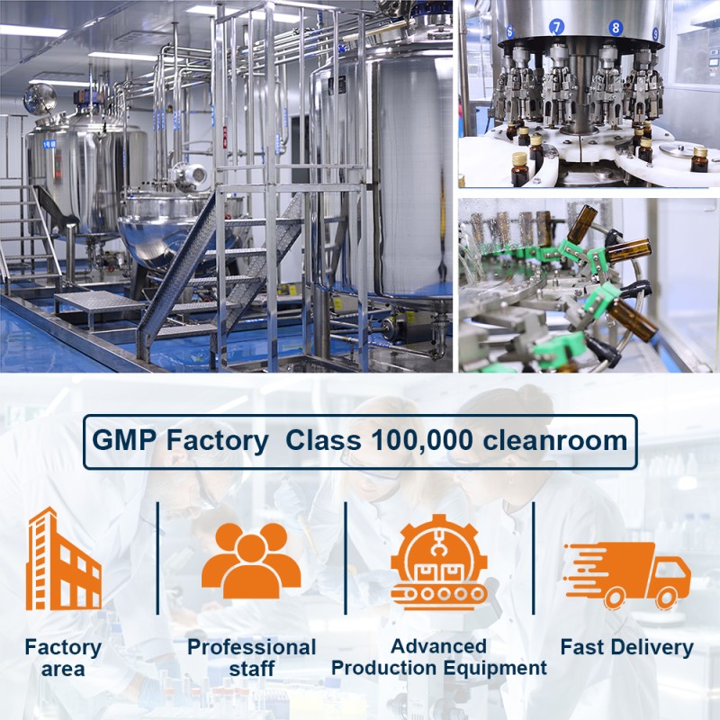 ODM/OEM Beet Root Capsules Health Support Enhances Intestinal Motility Boosts Energy Levels Enhances Intestinal Motility