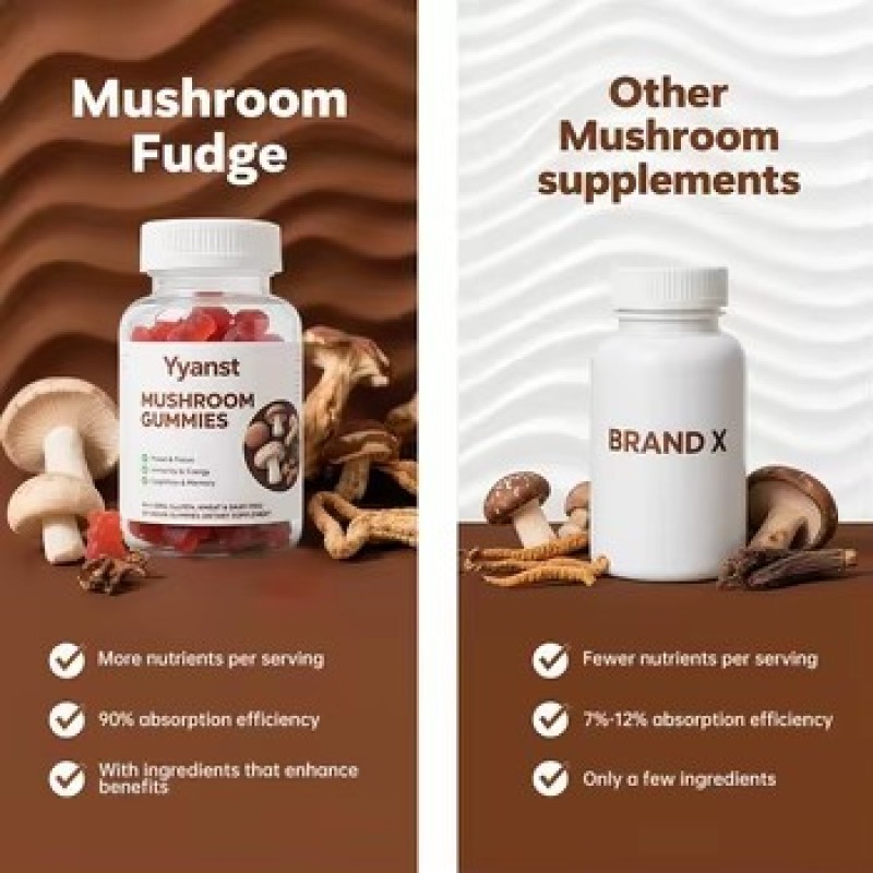 ODM/OEM Organic 10 Mushroom Mixed Gummies Improve Memory Enhance Focus Support Immunity Mushroom Gummies