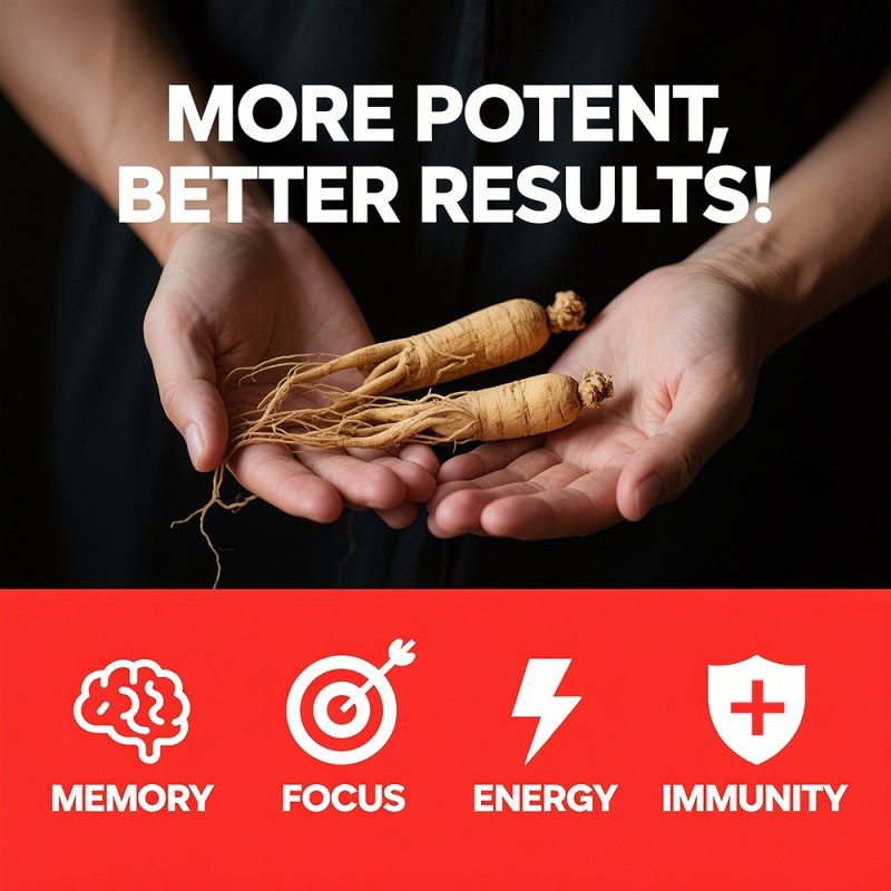 ODM/OEM Red Ginseng Capsules Boost Immunity Support Memory Enhancement Focus Improvement Stress Relief